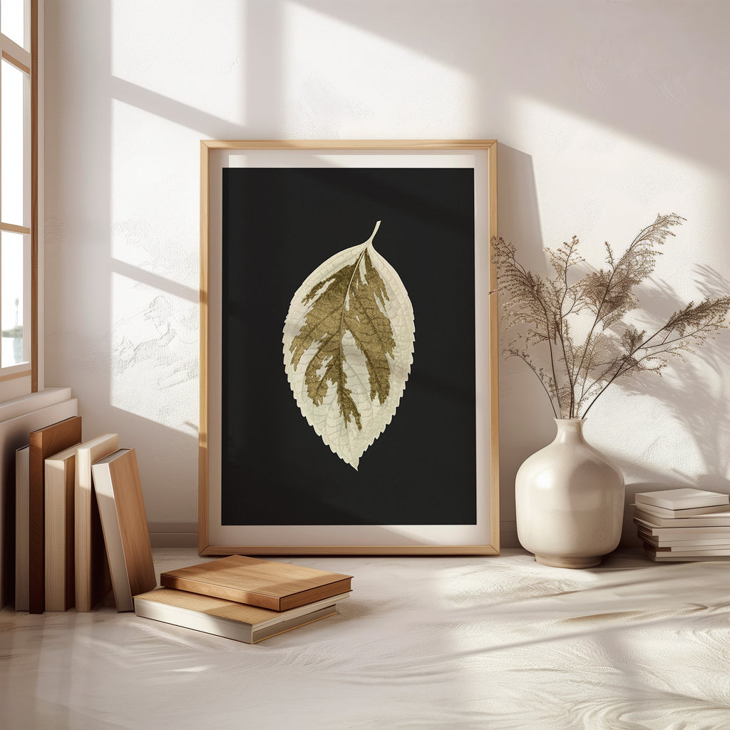 Cuadro Naturaleza Hoja Dorada Fondo Negro Elegante