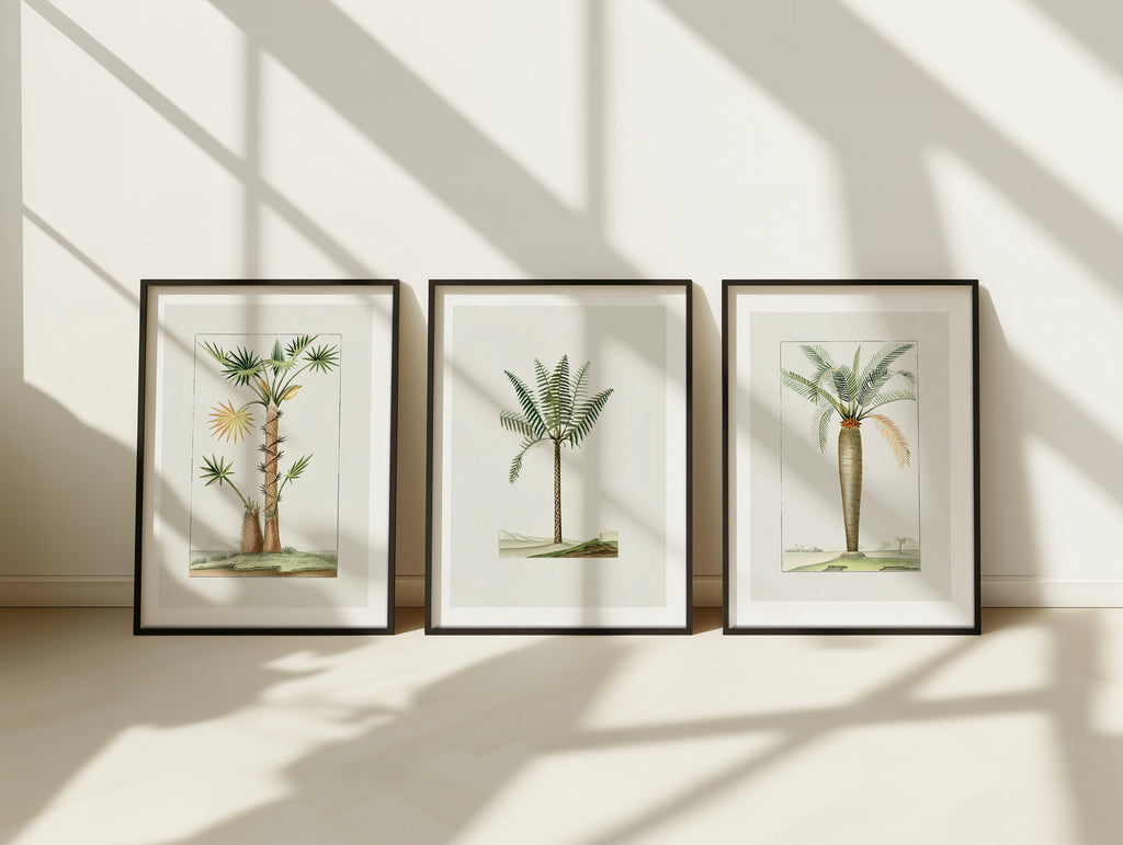 Cuadro Naturaleza Palma Tropical Simple
