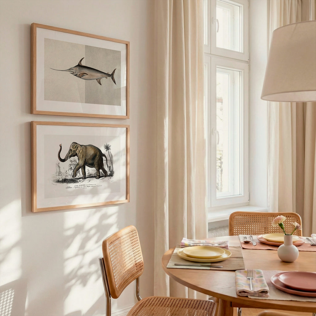 Cuadro Animales Elefante Grabado Antiguo