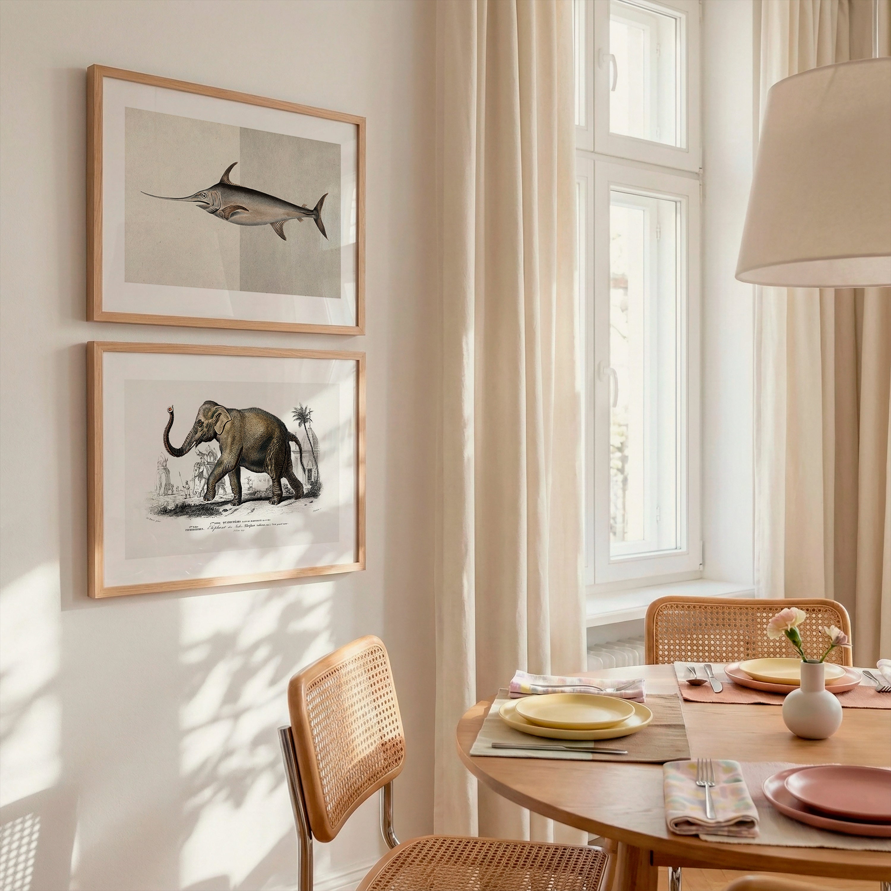 Cuadro Animales Elefante Grabado Antiguo