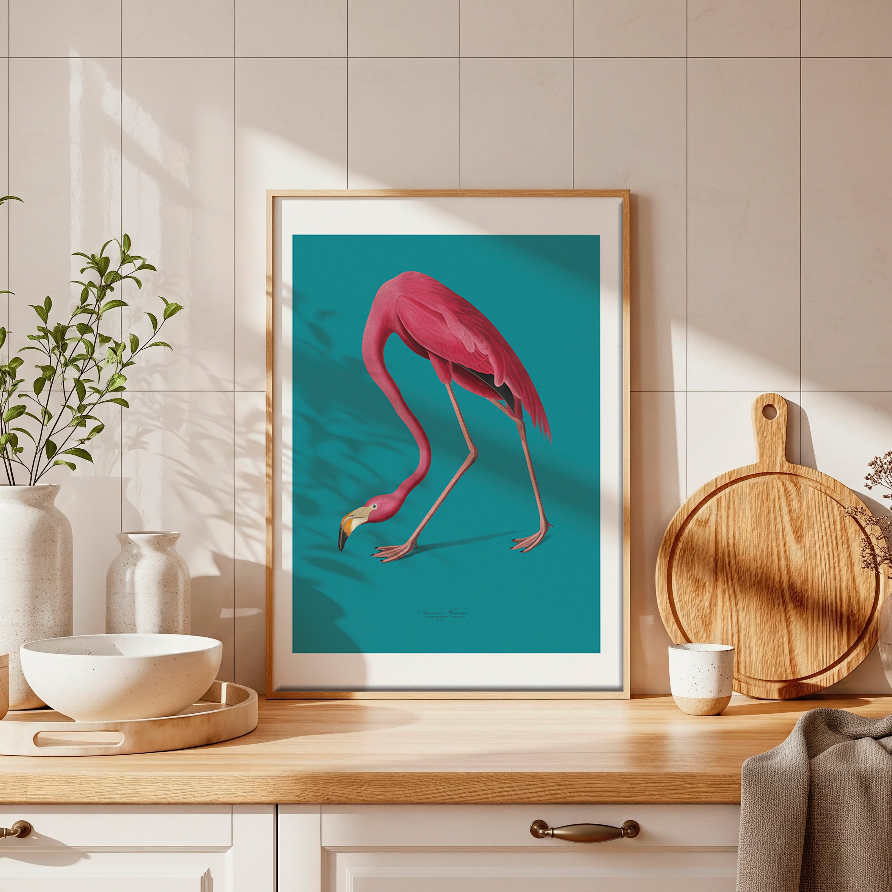 Cuadro Animales Flamenco Fondo Turquesa