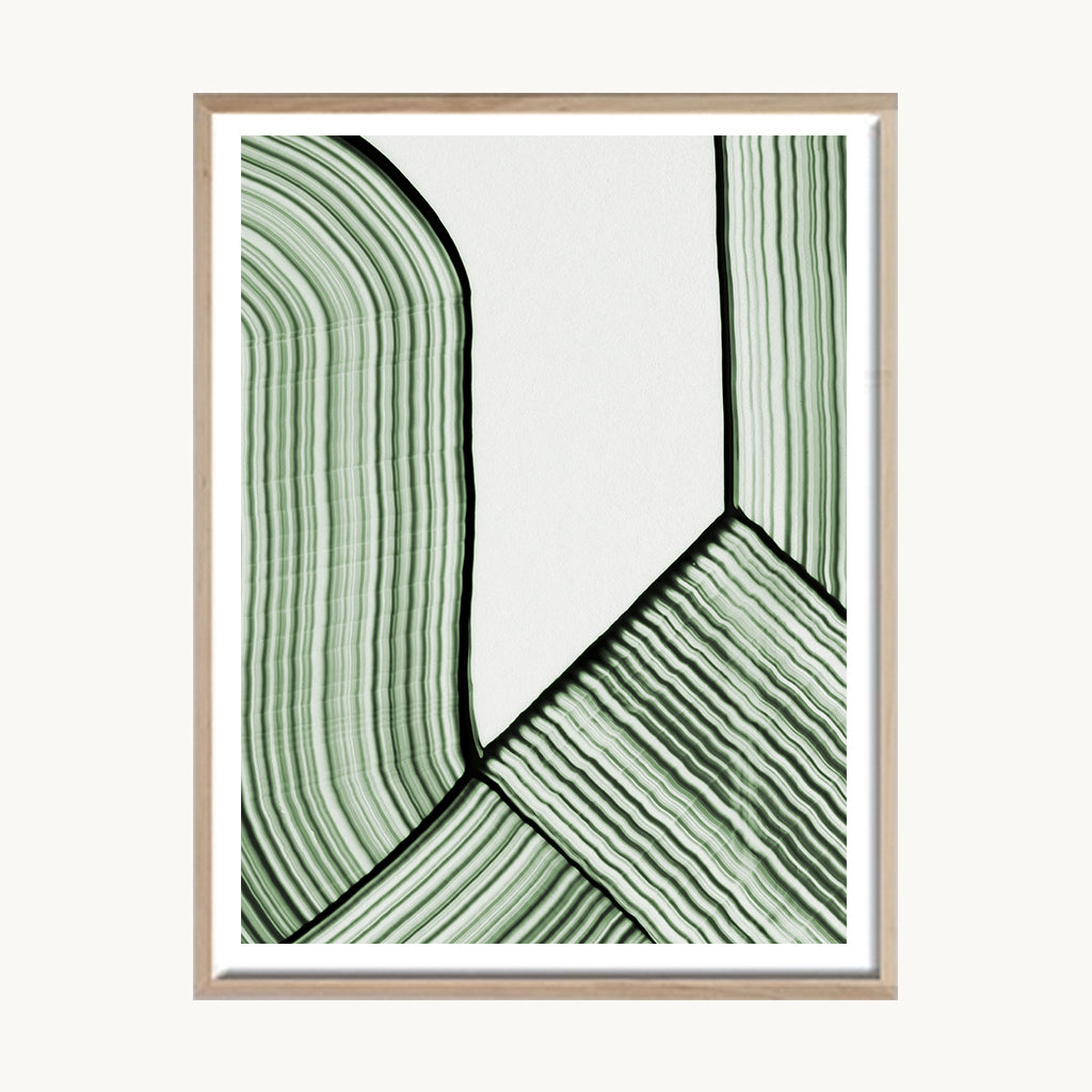 Cuadro Abstracto Líneas Orgánicas Verde Salvia 2