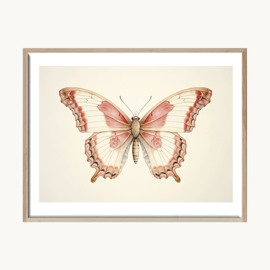 Cuadro Animales Mariposa Vintage Detalle