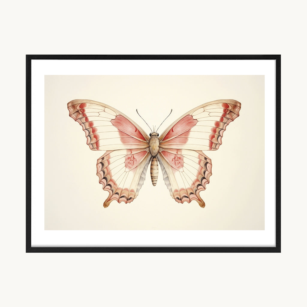 Cuadro Animales Mariposa Vintage Detalle