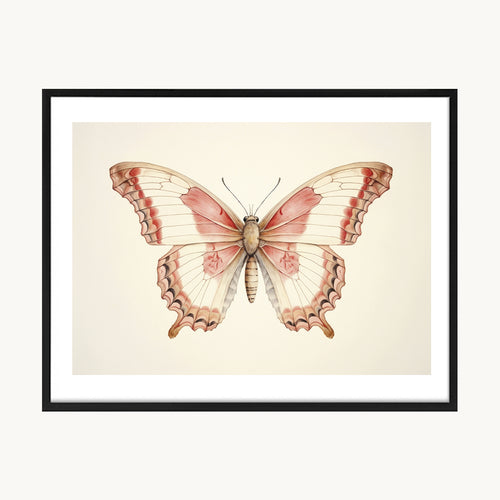 Cuadro Animales Mariposa Vintage Detalle