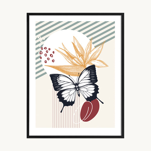 Cuadro Animales Mariposa Fondo Tropical