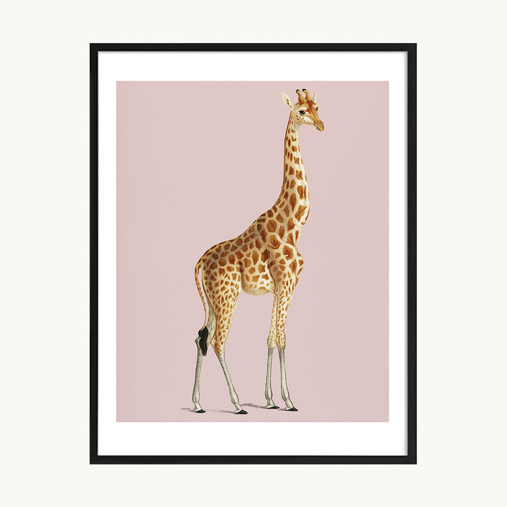 Cuadro Animales Jirafa Fondo Rosa Pastel
