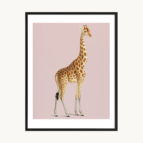 Cuadro Animales Jirafa Fondo Rosa Pastel