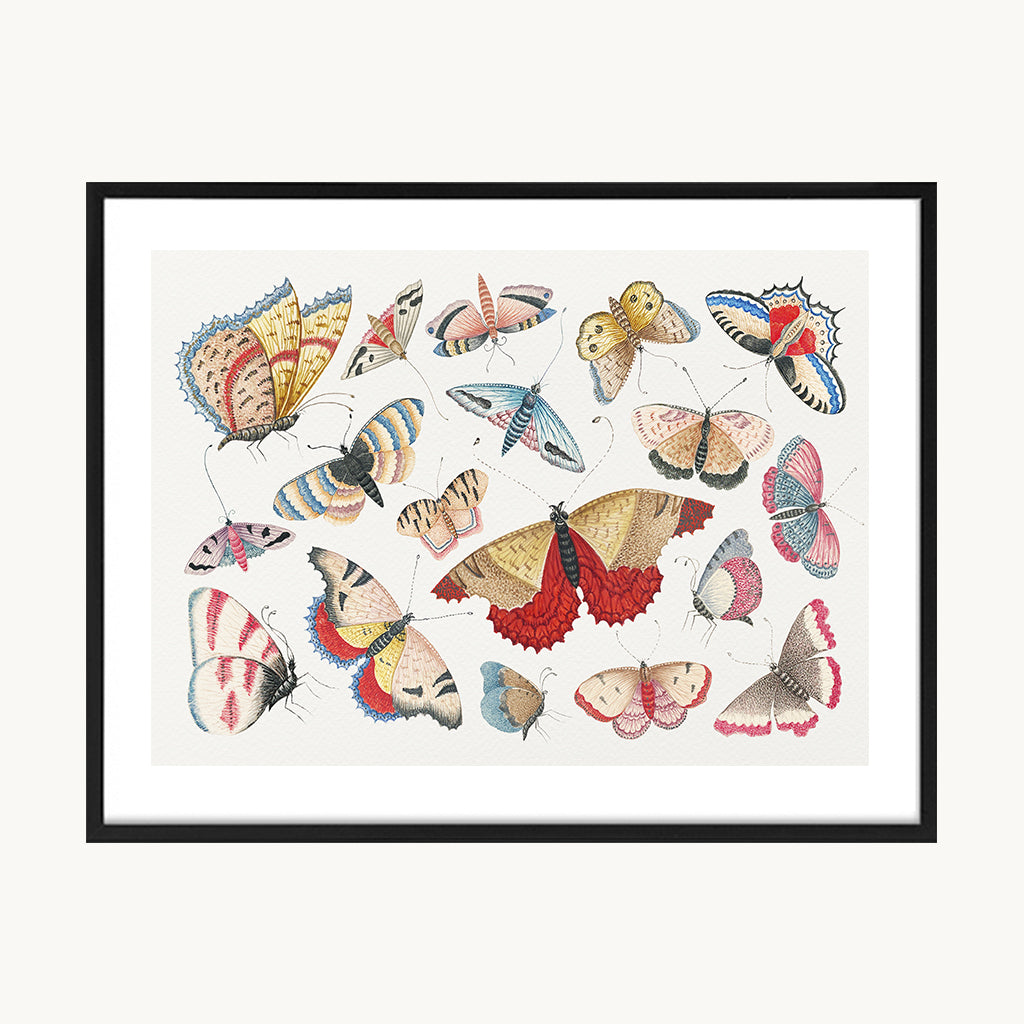 Cuadro Animales Mariposas Composición Colorida 1