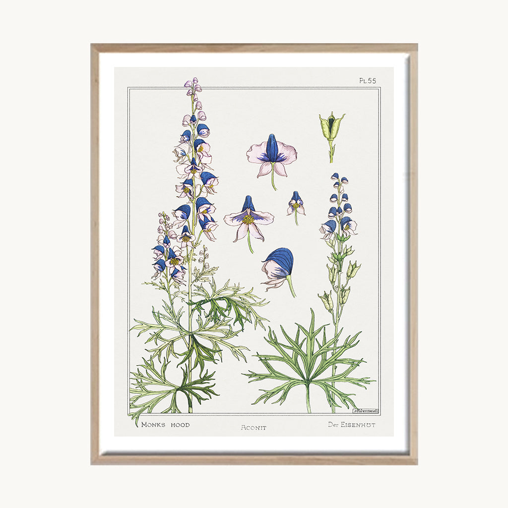Cuadro Naturaleza Lavandas Silvestres Decorativas