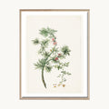 Cuadro Naturaleza Planta Silvestre Verde Minimalista