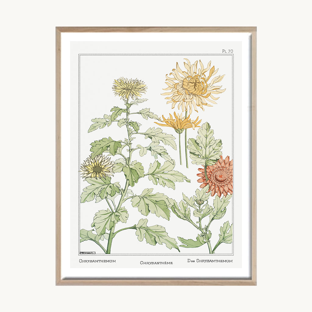 Cuadro Naturaleza Flores Amarillas Botánica Vintage