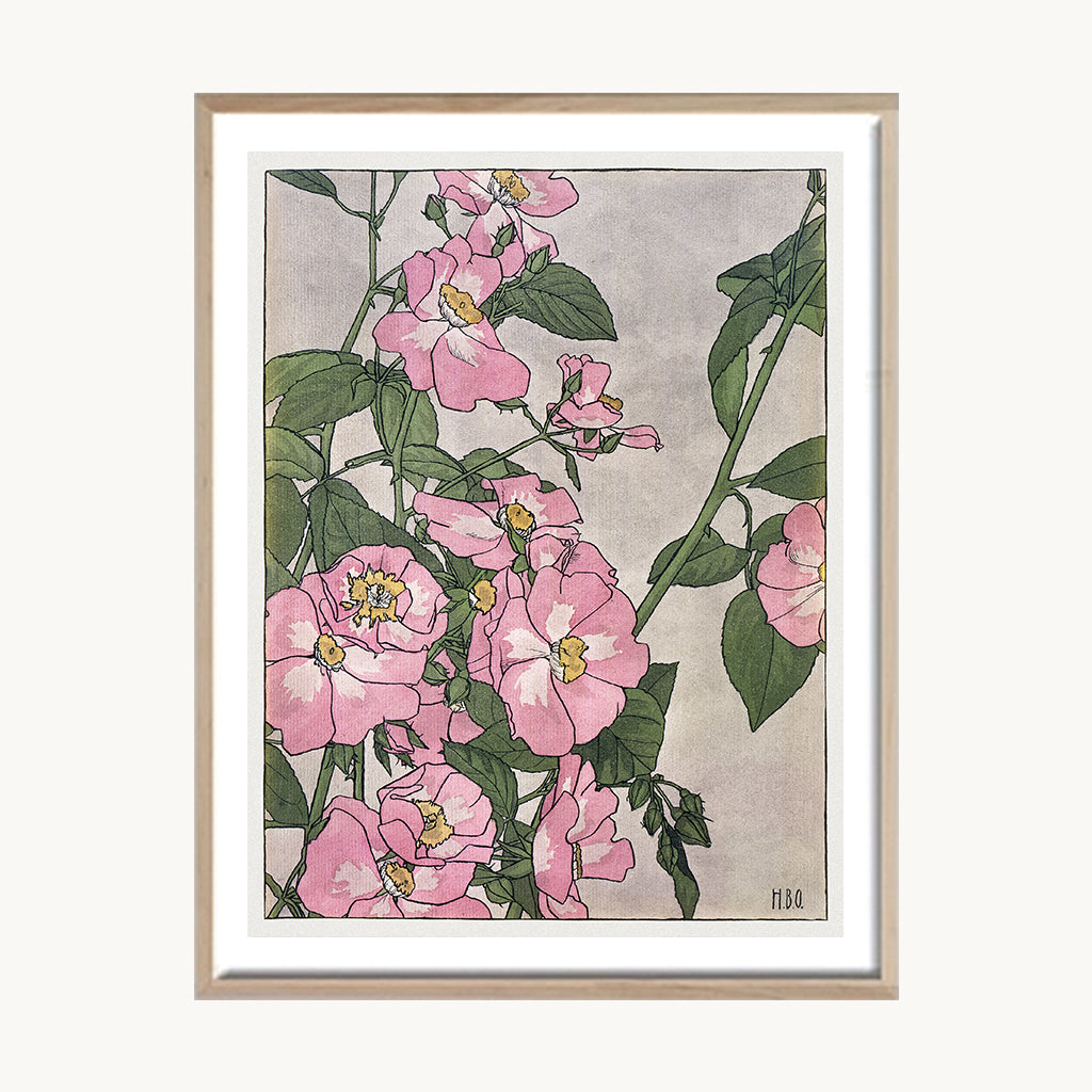 Cuadro Naturaleza Flores Rosadas Jardín Clásico