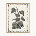 Cuadro Naturaleza Lámina Botánica Blanco y Negro Vintage 1
