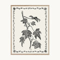 Cuadro Naturaleza Lámina Botánica Blanco y Negro Vintage 3