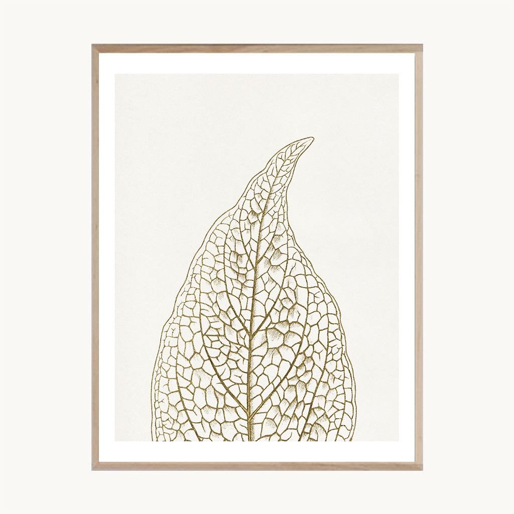 Cuadro Naturaleza Hoja Seca Beige Estilo Natural Moderno
