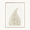 Cuadro Naturaleza Hoja Seca Beige Estilo Natural Moderno