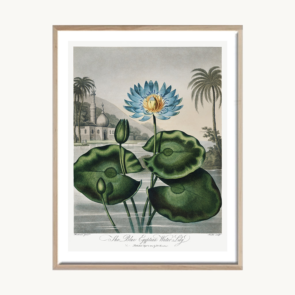 Set Tríptico Botánico Hojas Verdes Decorativas