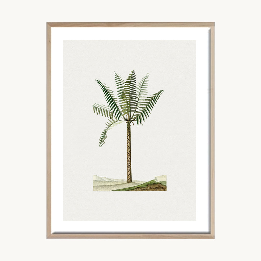 Cuadro Naturaleza Palma Minimalista Verde Decorativa