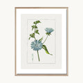 Cuadro Naturaleza Planta Pequeña Flor Celeste