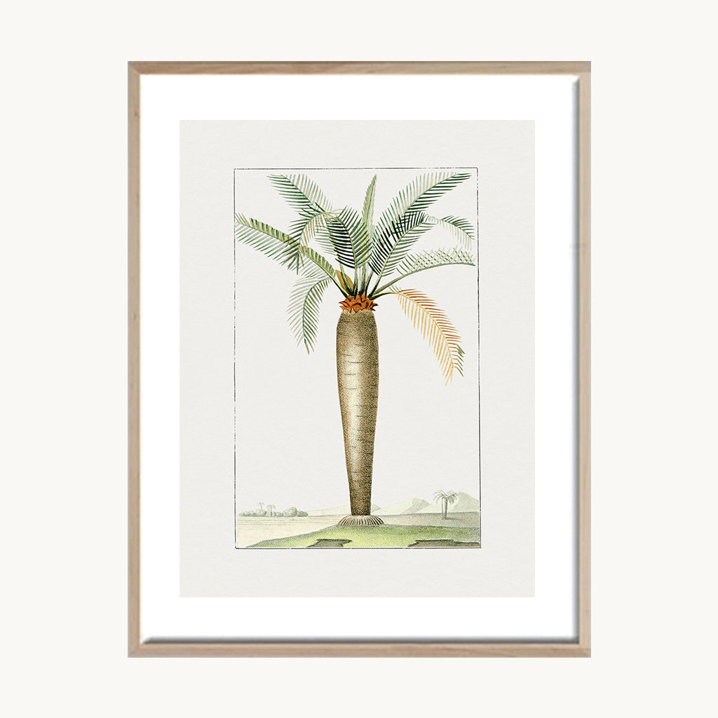 Cuadro Naturaleza Palma Tropical Simple