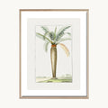 Cuadro Naturaleza Palma Tropical Simple