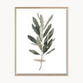 Cuadro Naturaleza Rama Verde Natural Minimalista 1