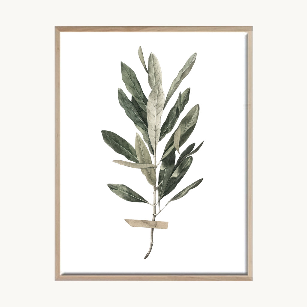 Cuadro Naturaleza Rama Verde Natural Minimalista 1