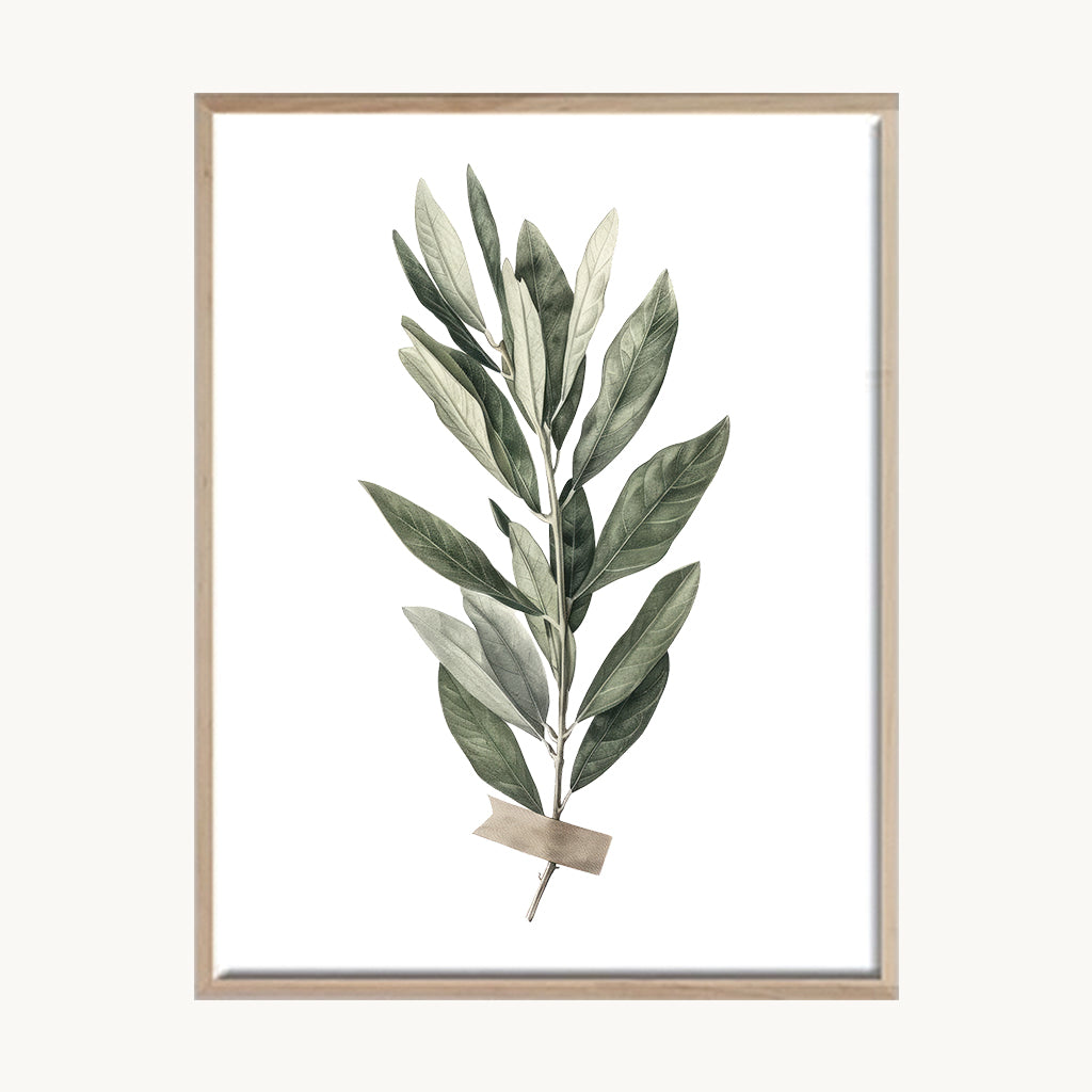 Cuadro Naturaleza Rama Verde Natural Minimalista 2