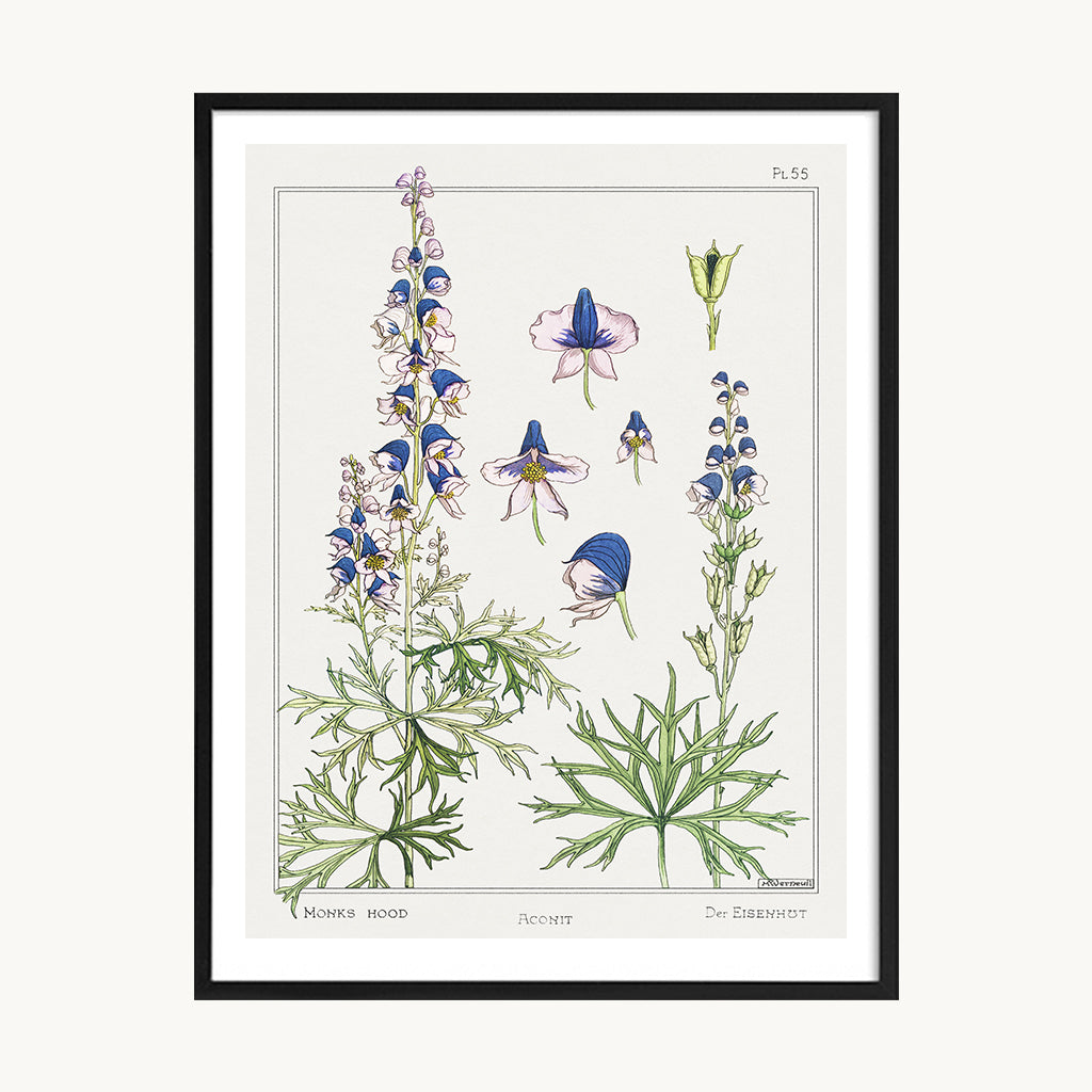 Cuadro Naturaleza Lavandas Silvestres Decorativas