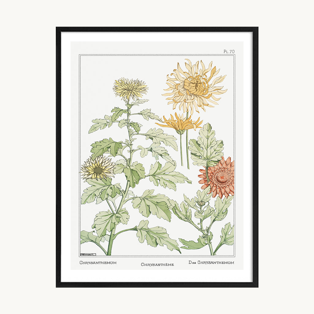 Cuadro Naturaleza Flores Amarillas Botánica Vintage