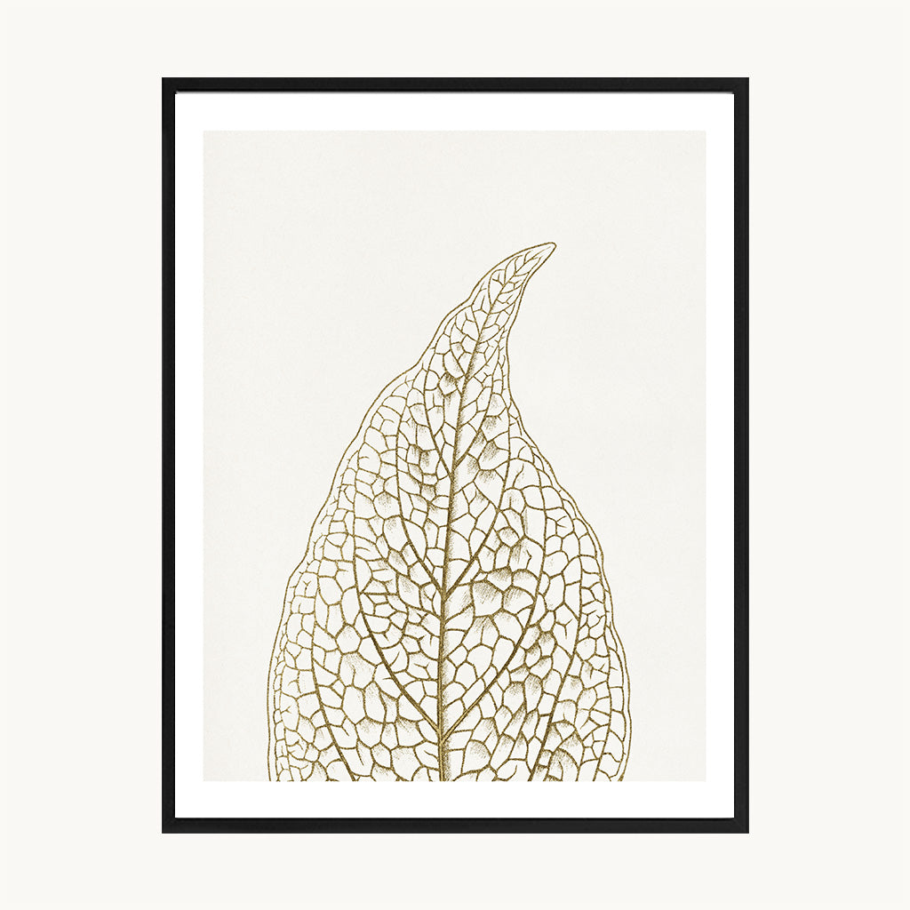 Cuadro Naturaleza Hoja Seca Beige Estilo Natural Moderno