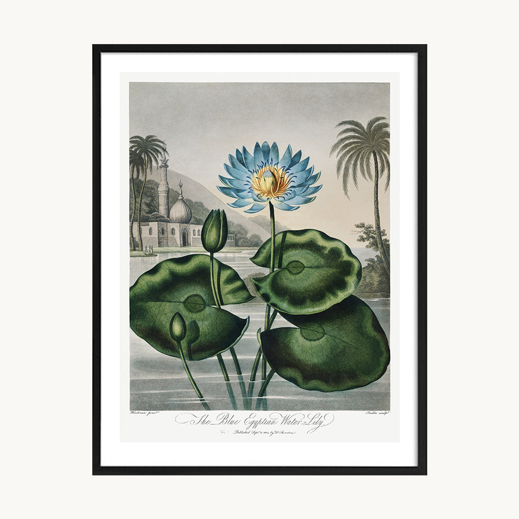 Set Tríptico Botánico Hojas Verdes Decorativas