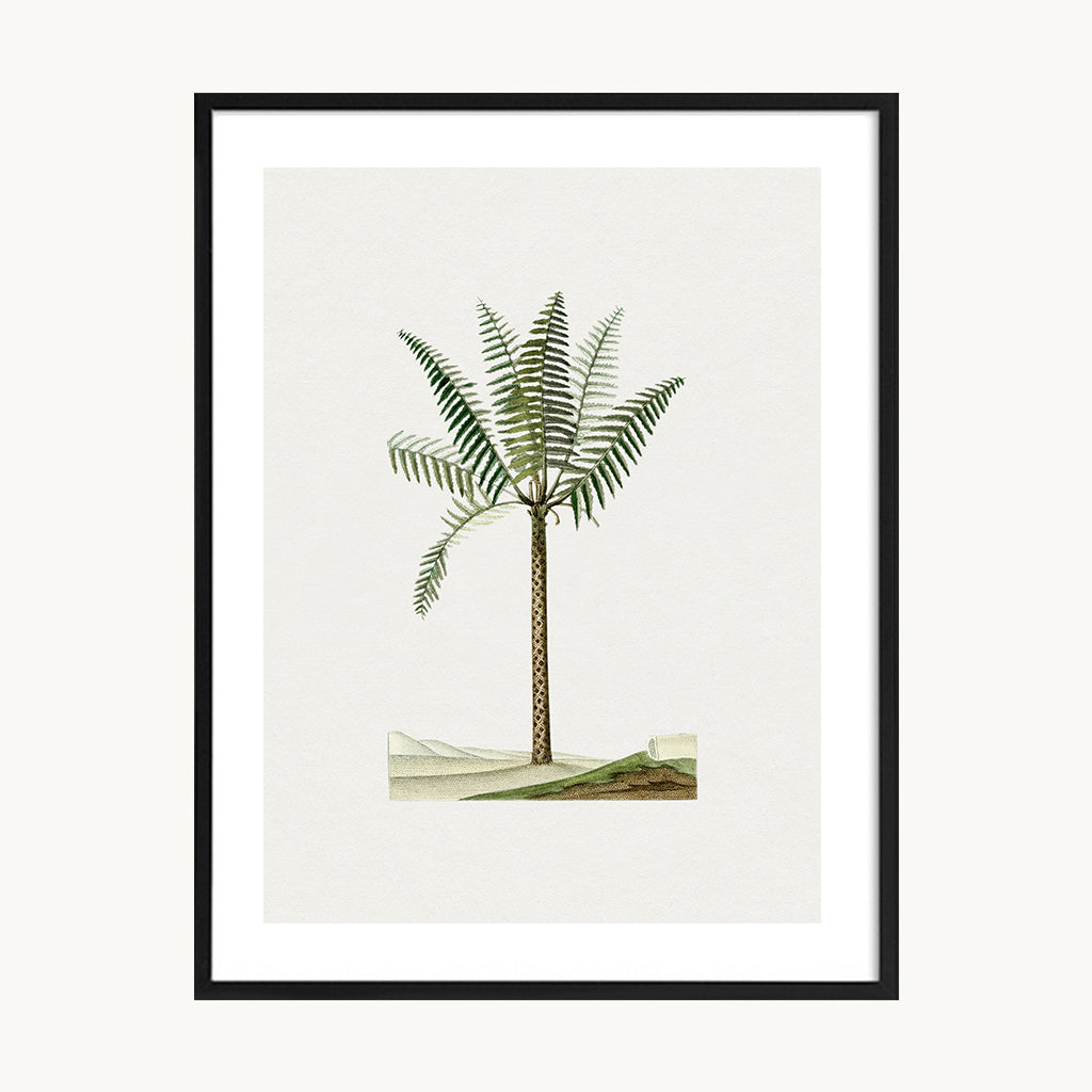 Cuadro Naturaleza Palma Minimalista Verde Decorativa