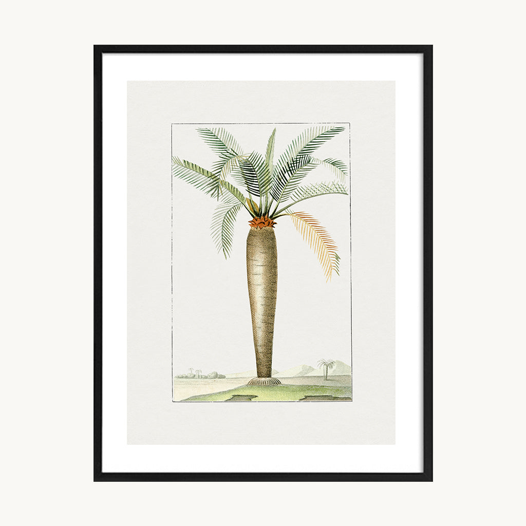 Cuadro Naturaleza Palma Tropical Simple