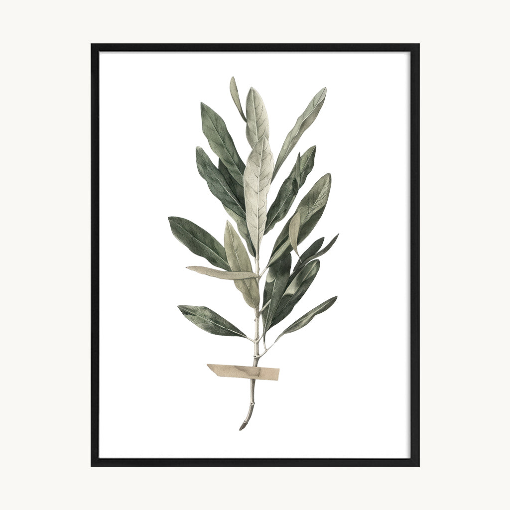 Cuadro Naturaleza Rama Verde Natural Minimalista 1