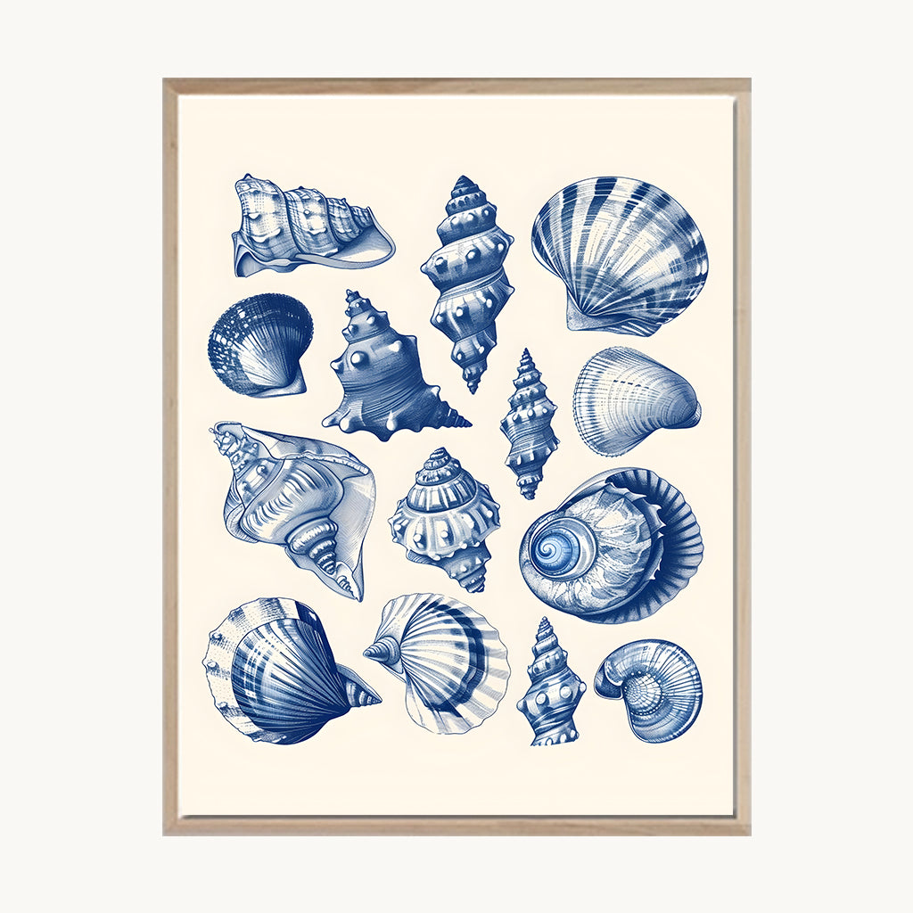 Cuadro Playa Conchas Marinas Azules Decorativas