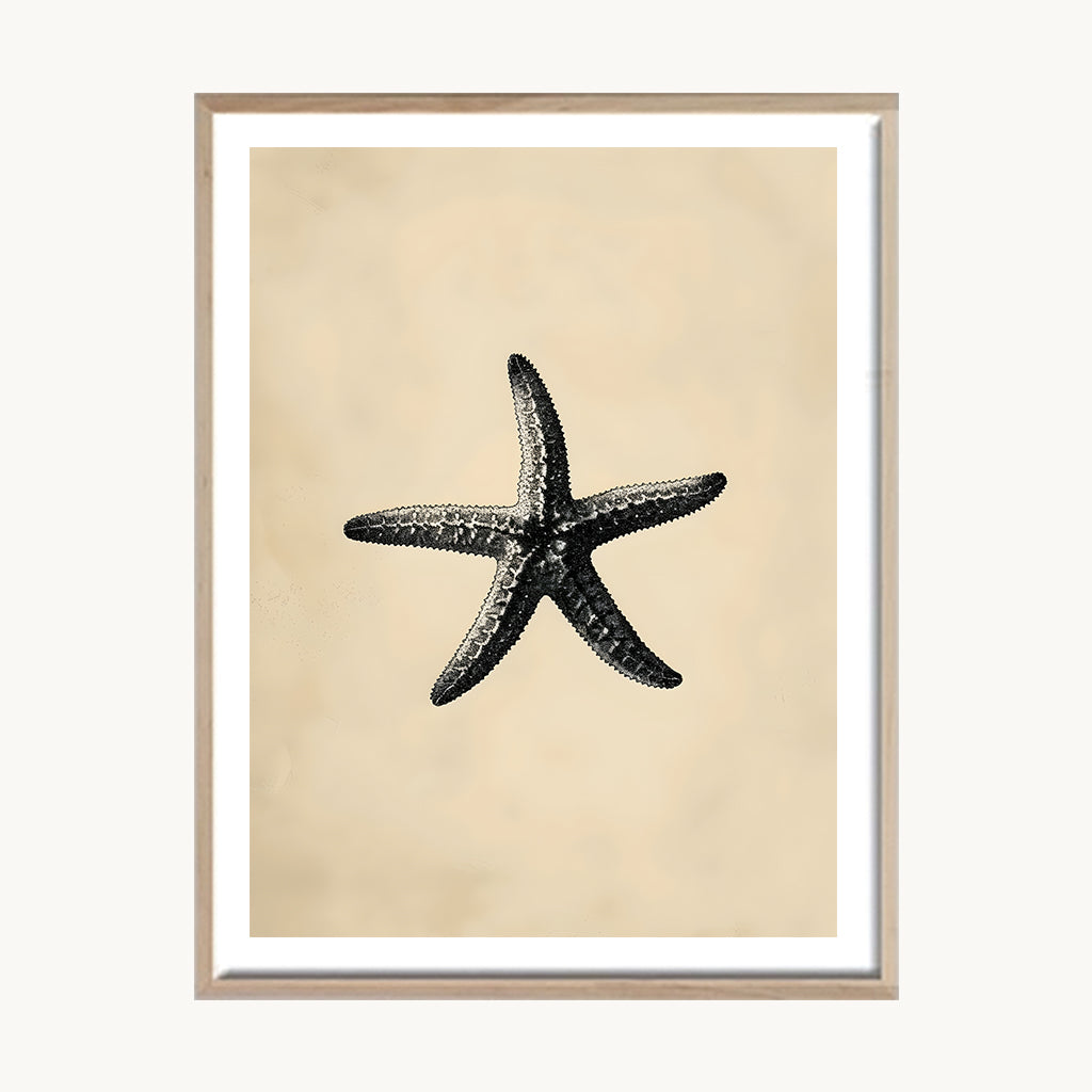 Cuadro Playa Estrella de Mar Vintage