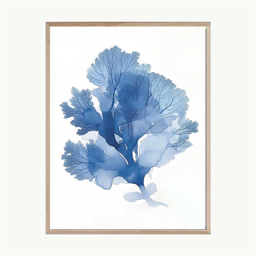 Set Cuadros Tríptico Botánica Azul Decorativa