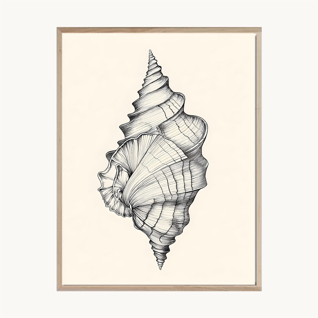 Cuadro Playa Caracola Marina Ilustración