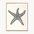Cuadro Playa Estrella de Mar Blanco y Negro 2