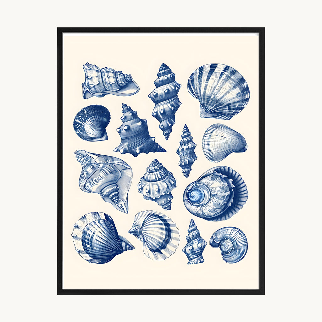 Cuadro Playa Conchas Marinas Azules Decorativas