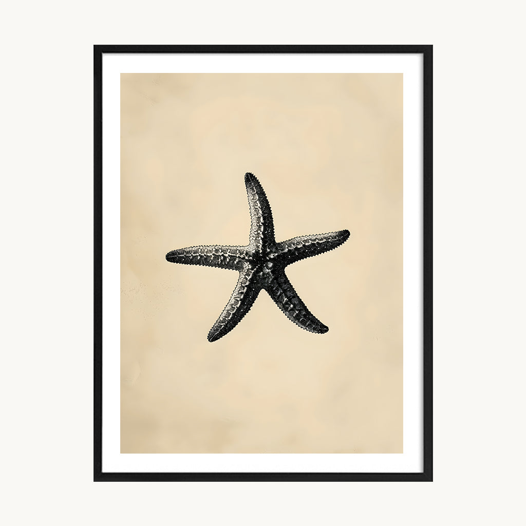 Cuadro Playa Estrella de Mar Vintage
