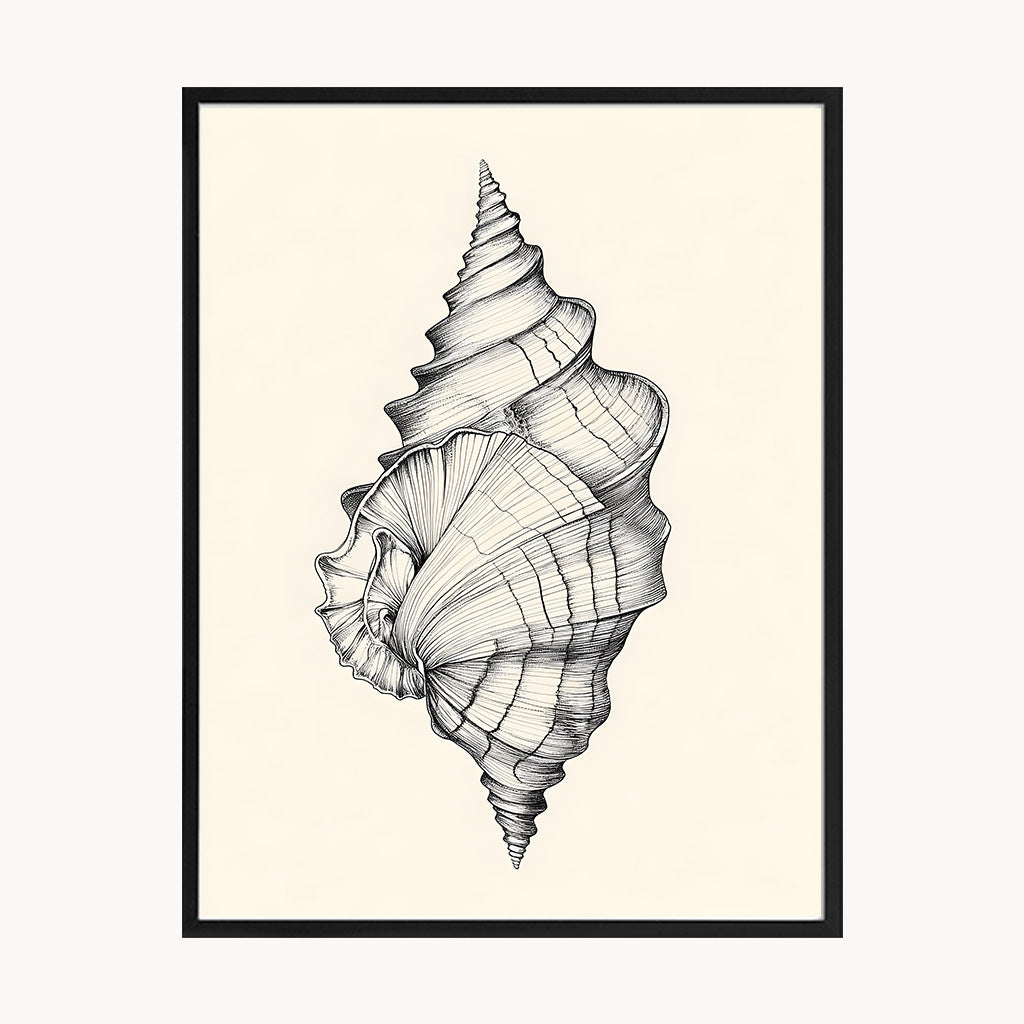 Cuadro Playa Caracola Marina Ilustración