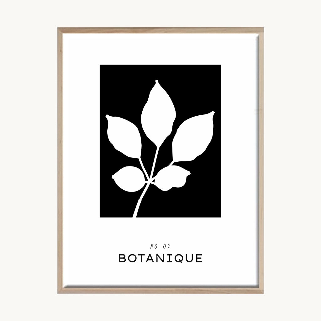 Cuadro Letras Hoja Minimal Blanco