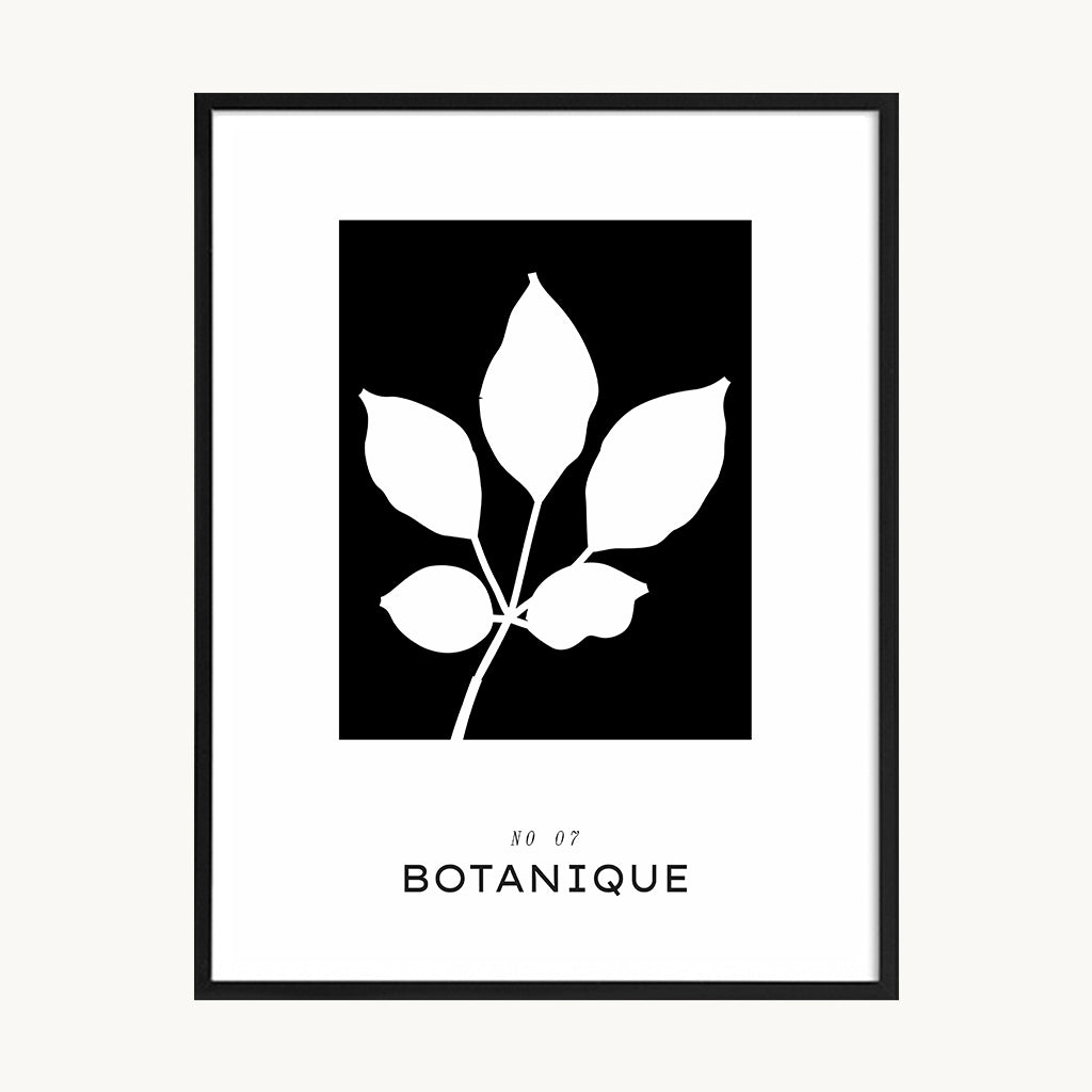 Cuadro Letras Hoja Minimal Blanco
