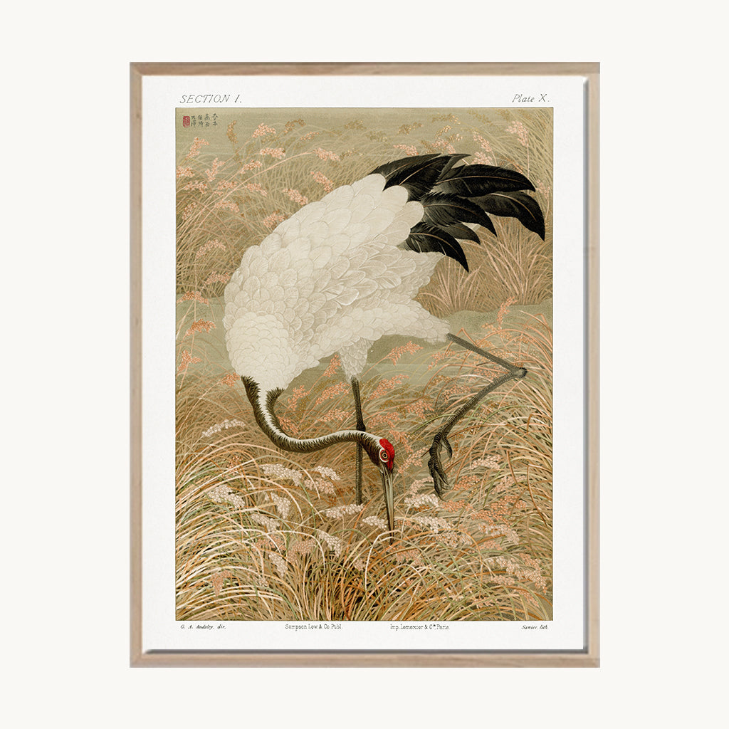 Cuadro Vintage ilustración ave oriental