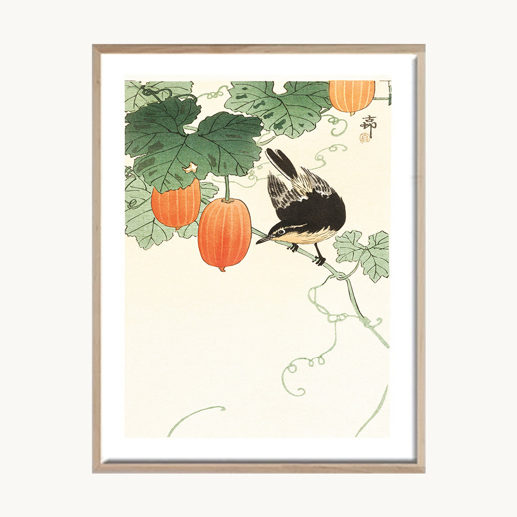 Cuadro Vintage ilustración botánica frutas y ave