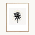 Cuadro Vintage dibujo árbol clásico