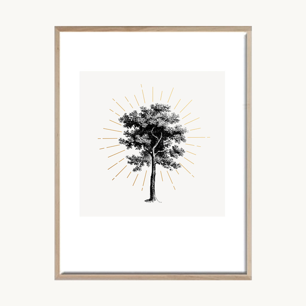 Cuadro Vintage dibujo árbol clásico